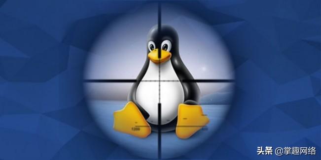 linux 查看当前句柄数_linux查看文件行数_linux 查看句柄数