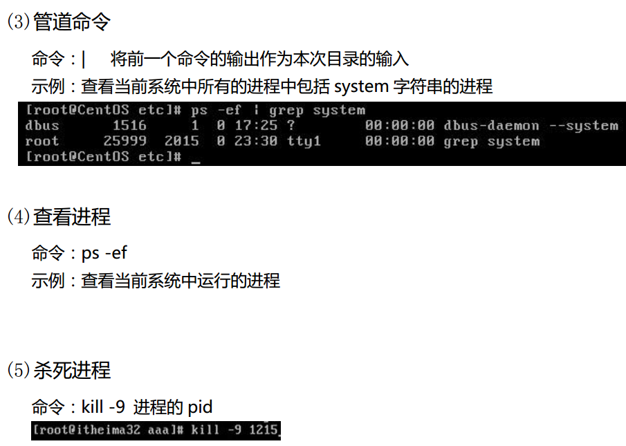 linux查询文件_linux查询文件_linux查询文件内容命令