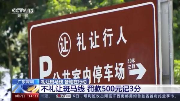 道路交通安全法_《安全道路法》第43条追尾责_交通道路法第92条