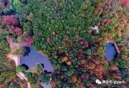 广西南宁旅游攻略必玩的景点_广西旅游必去十大景点排名_去分宜旅游有什么景点