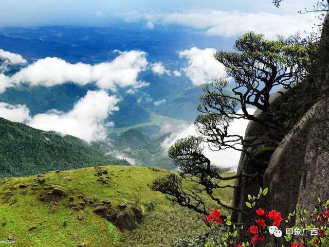 冬天去融水旅游的景点_广西旅游必去十大景点排名_广西十大景点排名