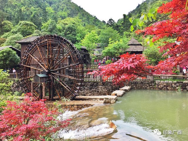 广西旅游必去十大景点排名_冬天去融水旅游的景点_广西十大景点排名