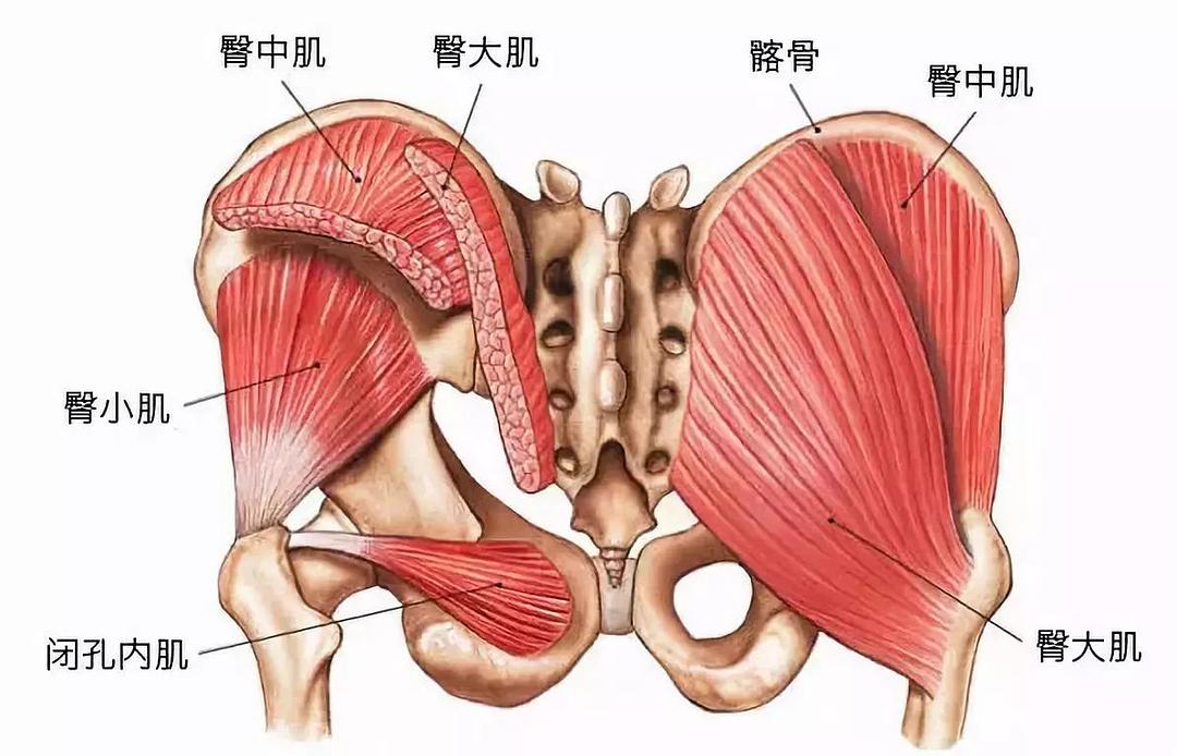 武汉徐东凯撒健身 空中健身_斌卡一平米健身：硬派健身^^^硬派健身_健身