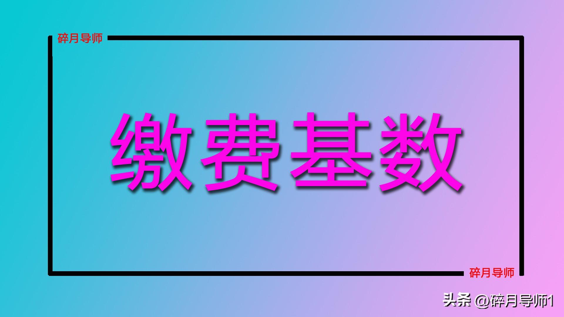 职业年金法规_廉洁年金 职业年金_职业年金