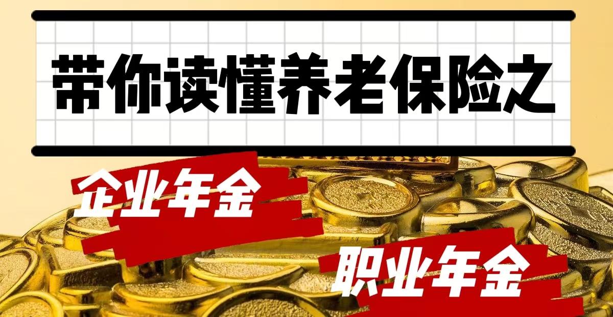 职业年金_职业年金企业年金哪个好_怎么查询职业年金