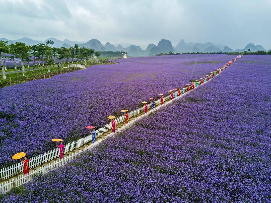 广西哪里好玩景点排名_广西旅游必去十大景点排名_去南宁旅游一般都是那些景点