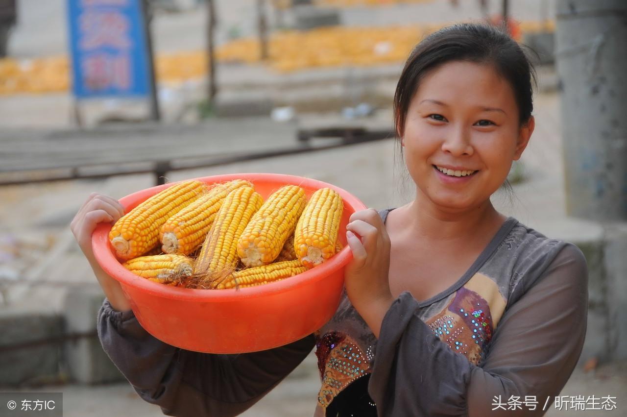 属鼠的今年多大_属鸡的今年多大_属狗的今年多大2016