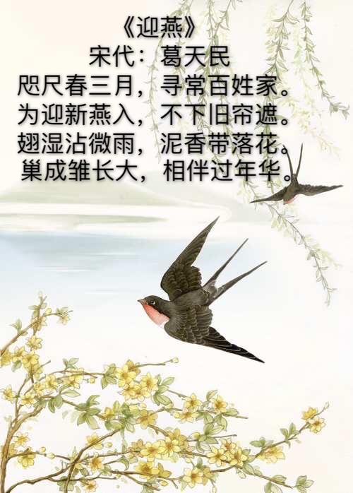 关于燕子的现代诗图片