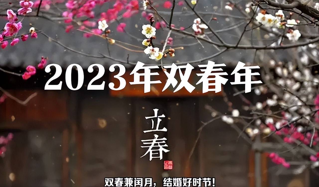 兔年_87年男兔87年女兔婚姻_狗年兔狗撵兔2014年最新的