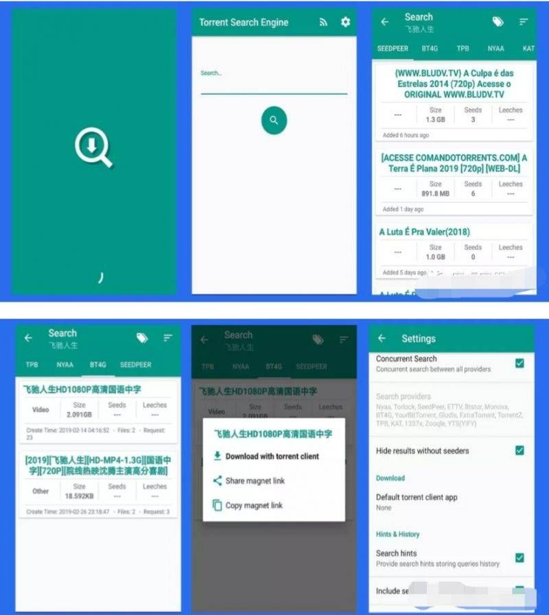bt种子磁力搜索神器 迅雷下载_磁力bt种子搜索_bt种子搜索磁力链接
