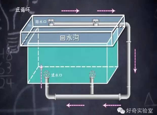 饭前游泳还是饭后游泳_游泳晒伤还能游泳_游泳