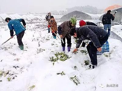 台州天气_浙江台州椒江天气15天_台州玉环天气