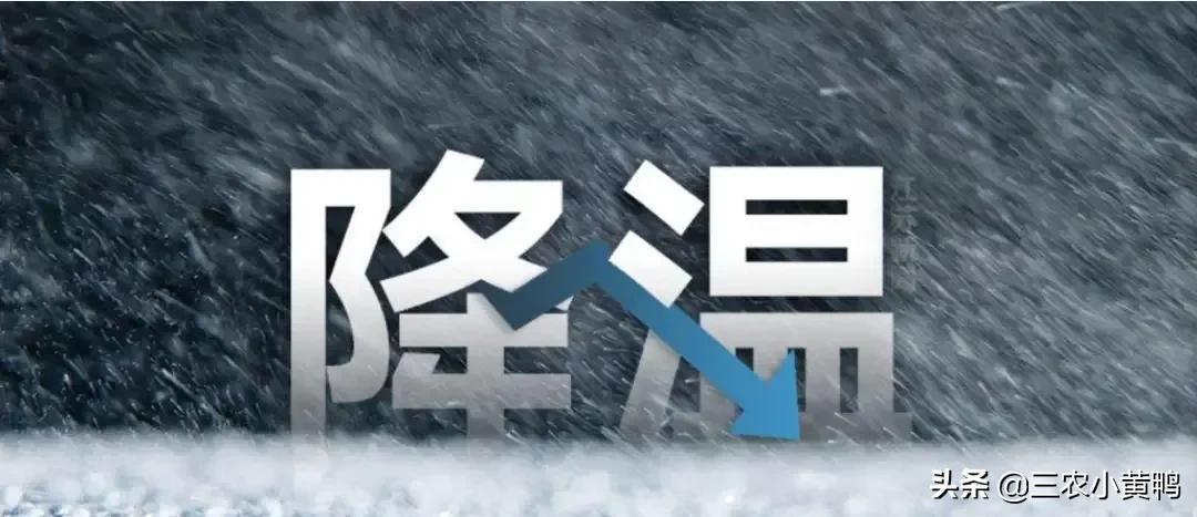 天气西安预报15天查询_厦门天气30天预报查询_天气预报15天查询