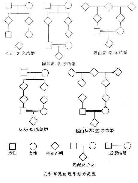 繁殖方式不同的动物_动物自然繁殖_动物界的繁殖方法