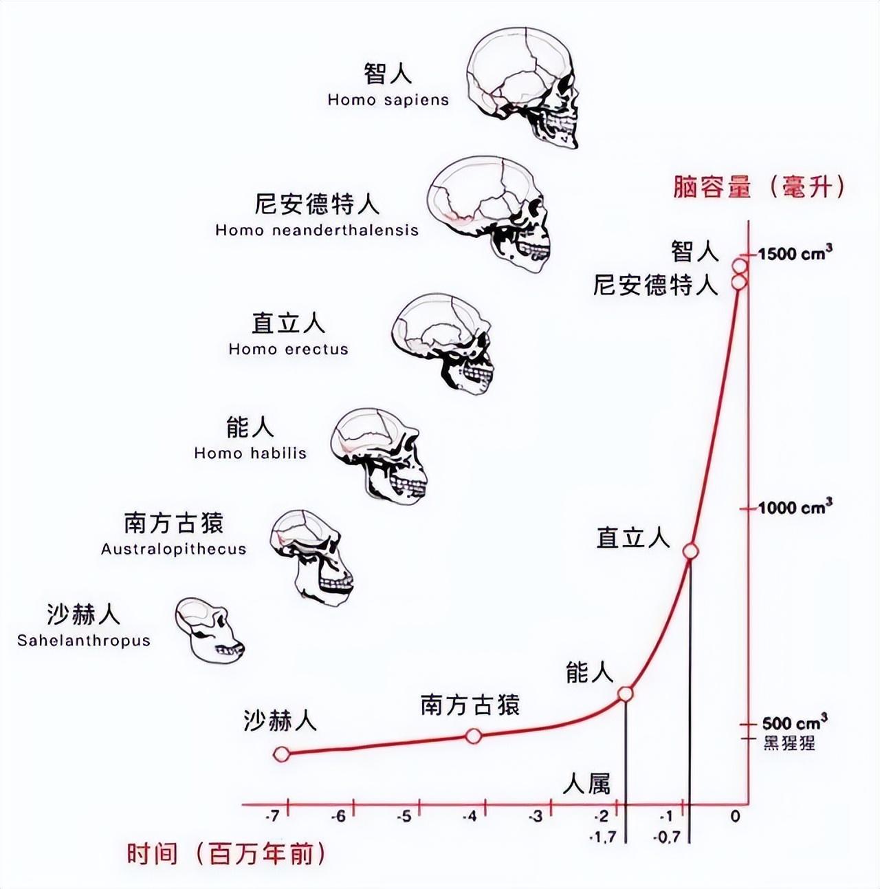 动物自然繁殖_动物界的繁殖方法_动物繁殖交配