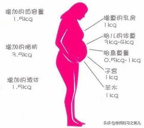 体重肥胖指数_中小学生体重标准指数_体重指数