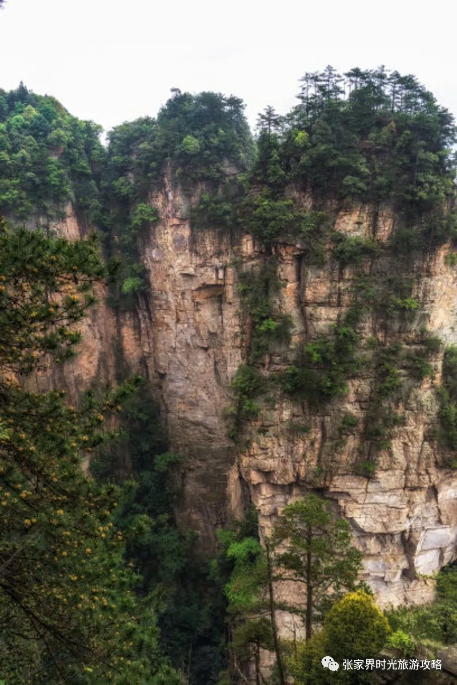 张家界旅游攻略自由行三天_从黄石到杭州三天旅游攻略_昆明三天旅游攻略