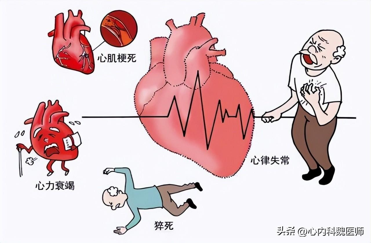 心率_心率过快怎么降低心率_心率正常范围