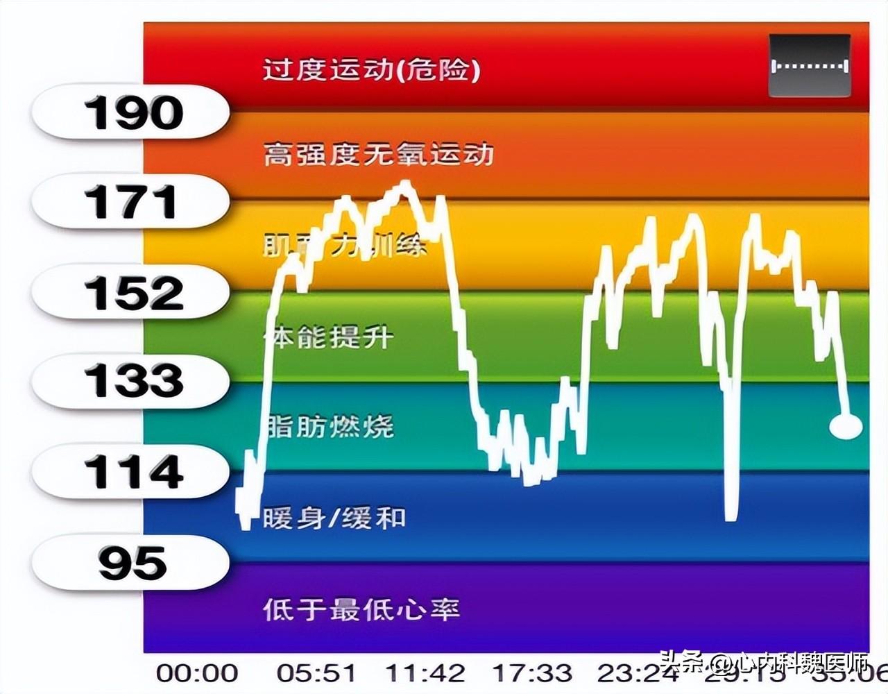 心率正常范围_心率_心率过快怎么降低心率