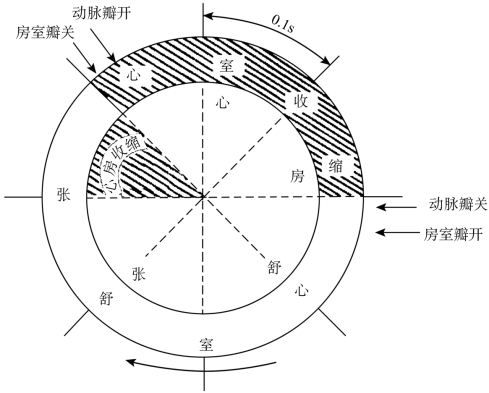 心率_心率过快怎么降低心率_心率正常范围