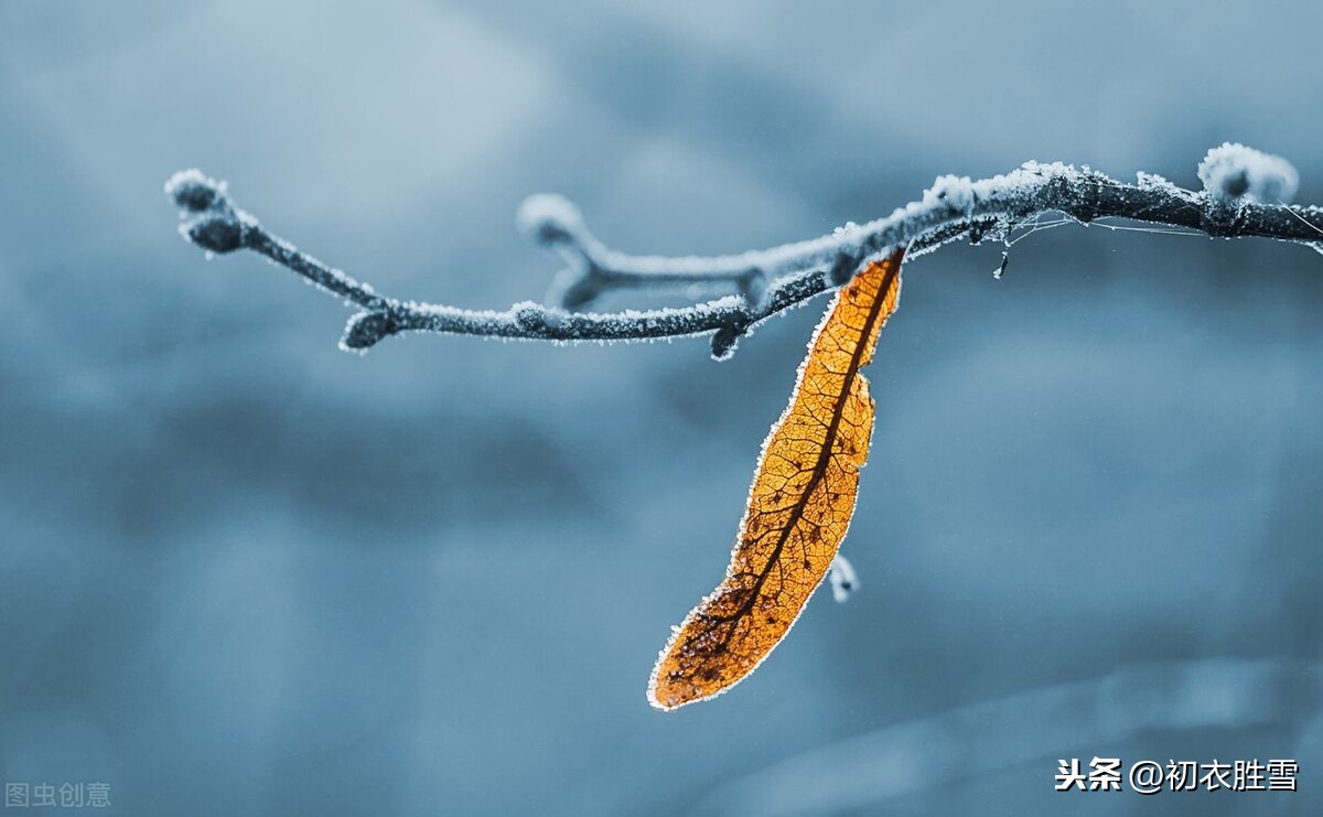 半生年华歌词mc梦柯_血染黄沙半生金戈铁马歌词_半生雪歌词