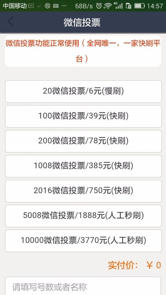 网上怎么买投票的票_微信投票1000票_投票如何购买票数